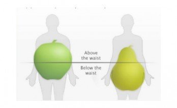 Are you an apple or a pear ?